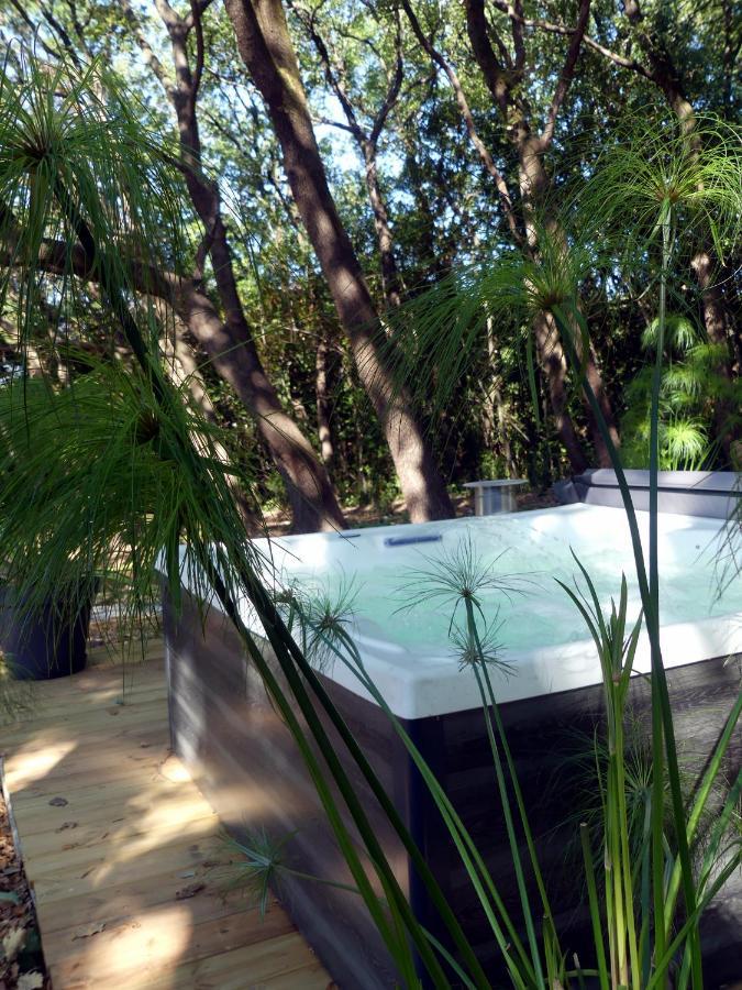 Le Predaiou Bed and Breakfast La Garde-Adhémar Εξωτερικό φωτογραφία